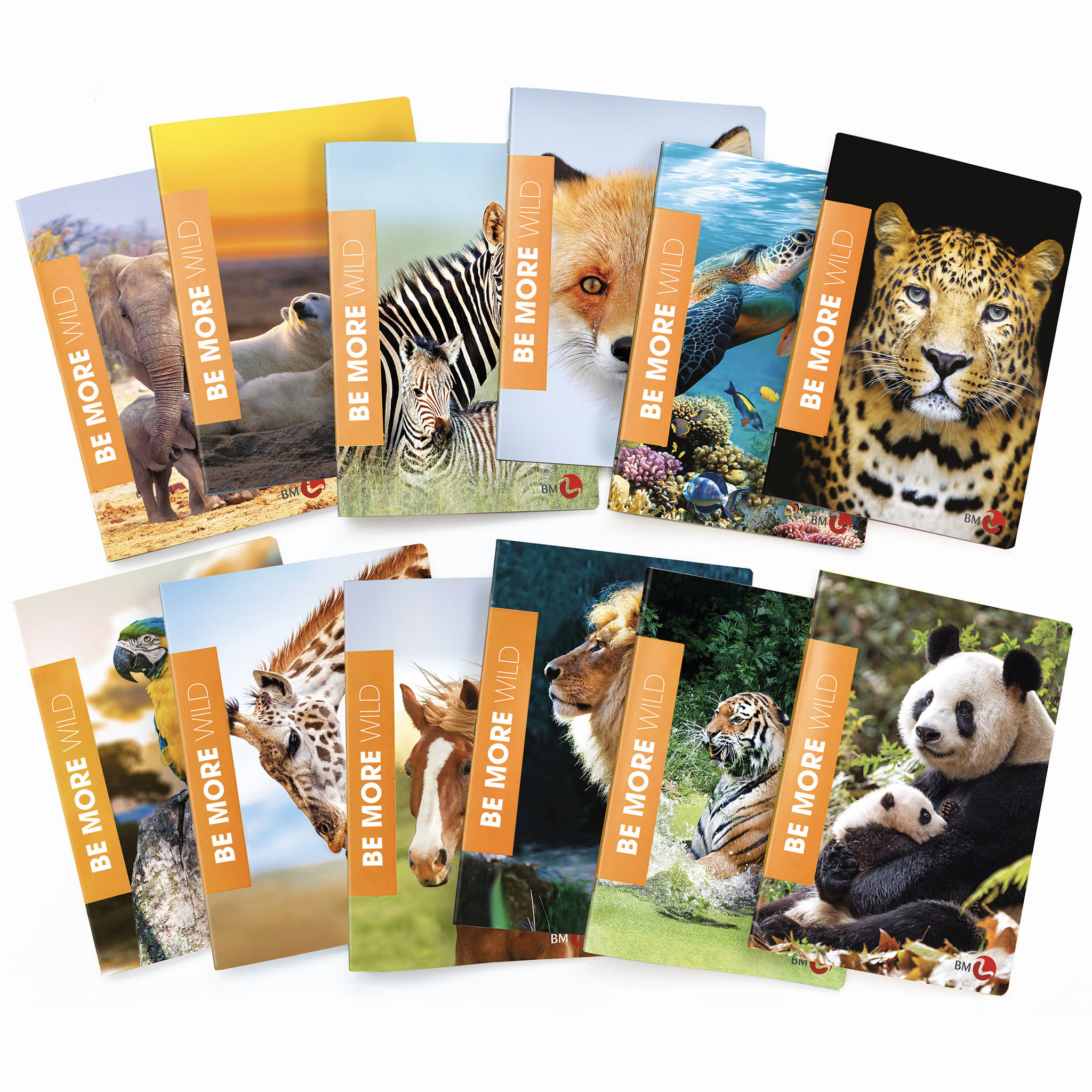 A4 maxi notebooks BE MORE WILD 100 gram- 10 assorted pieces