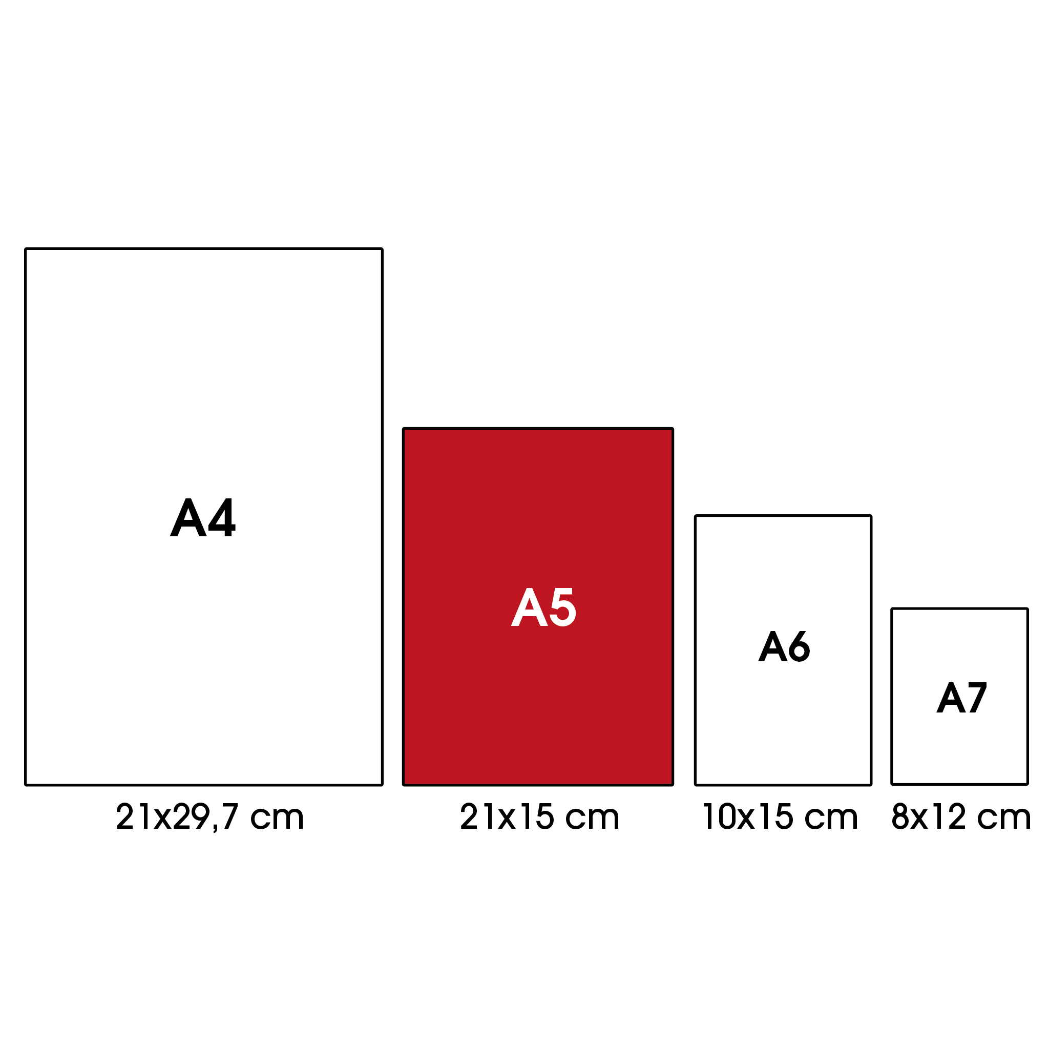 Quaderni spiralati A5 derby lato corto - 5 pezzi assortiti