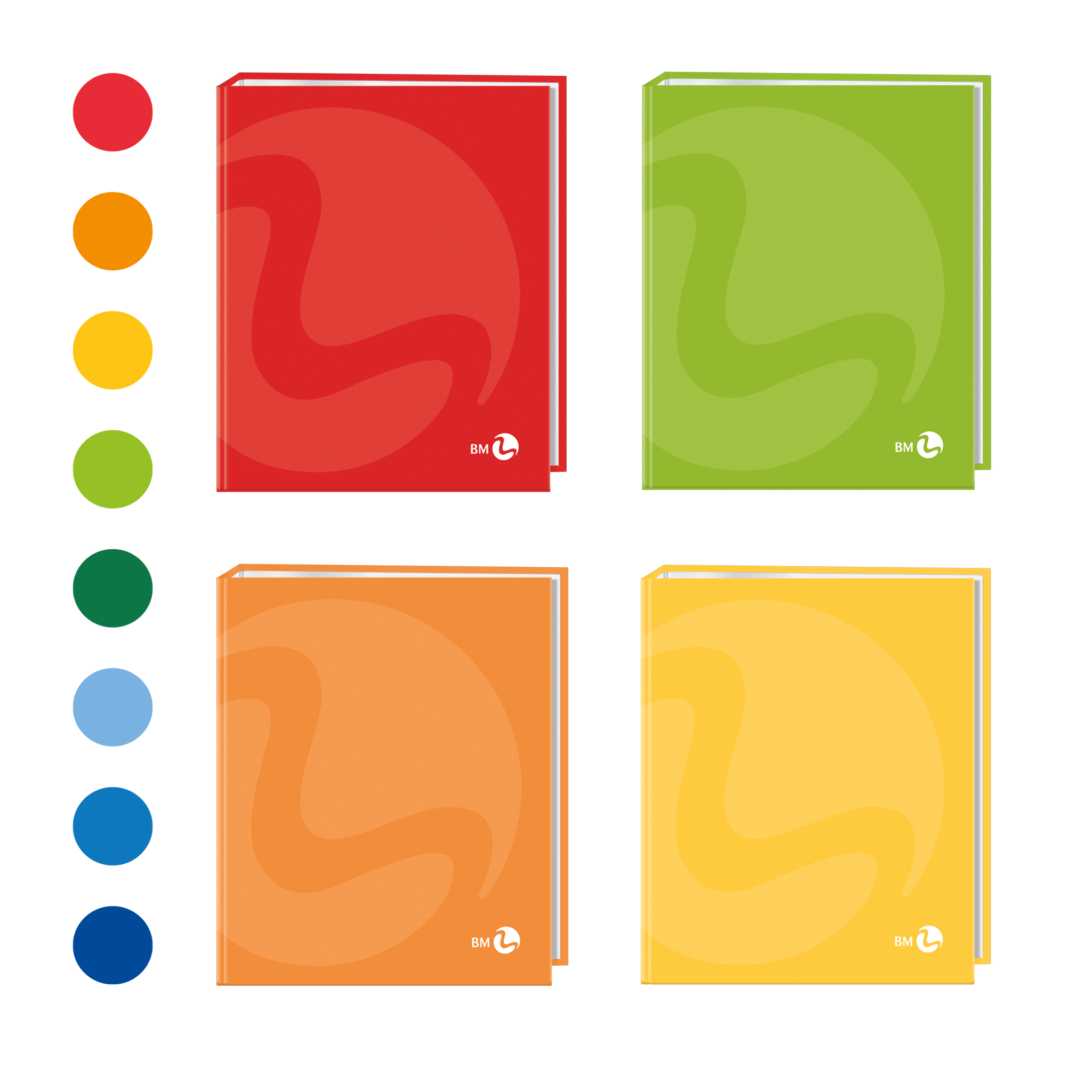 A4 colour ring binders - 5 assorted pieces