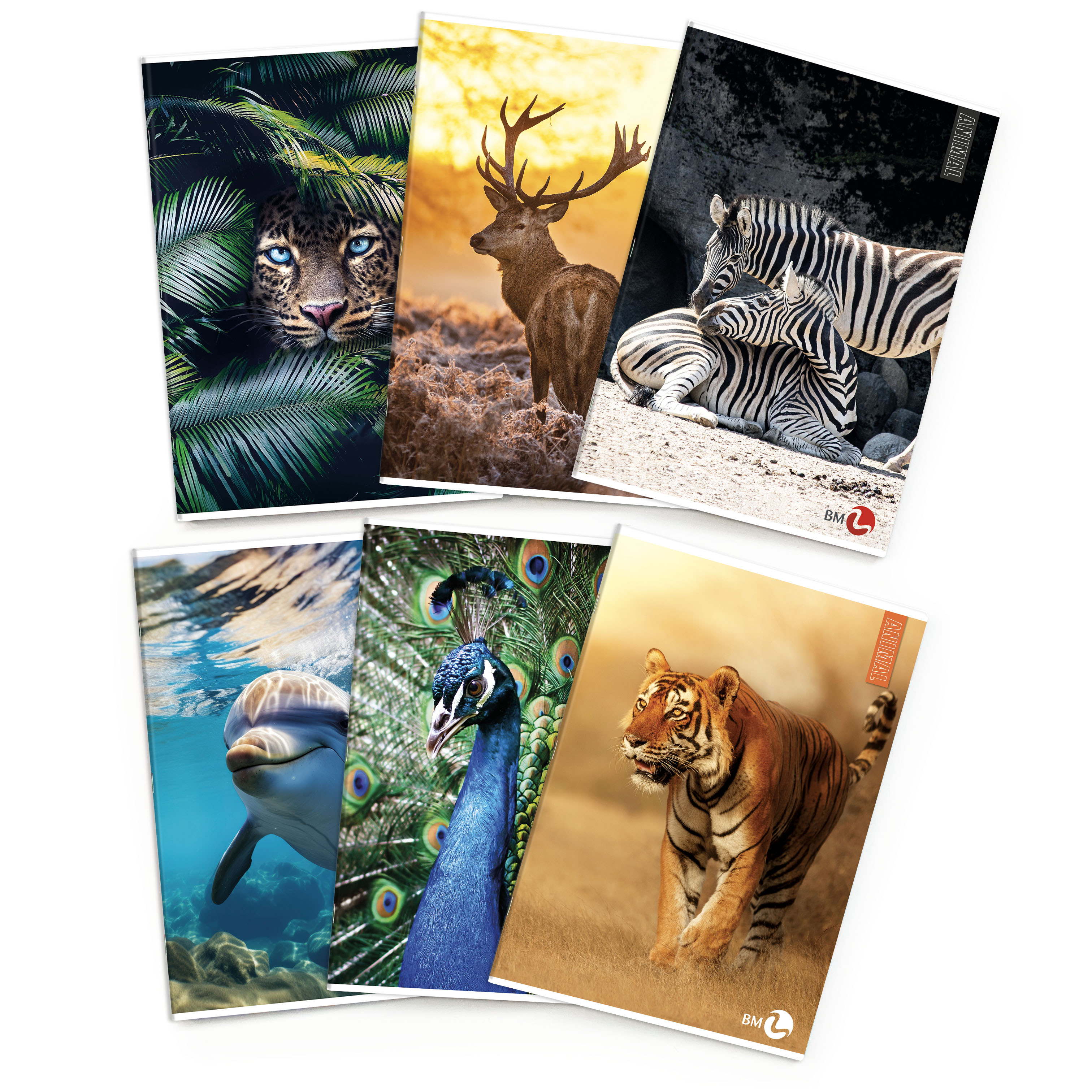 A4 maxi notebooks ANIMAL 80 gram - 10 assorted pieces