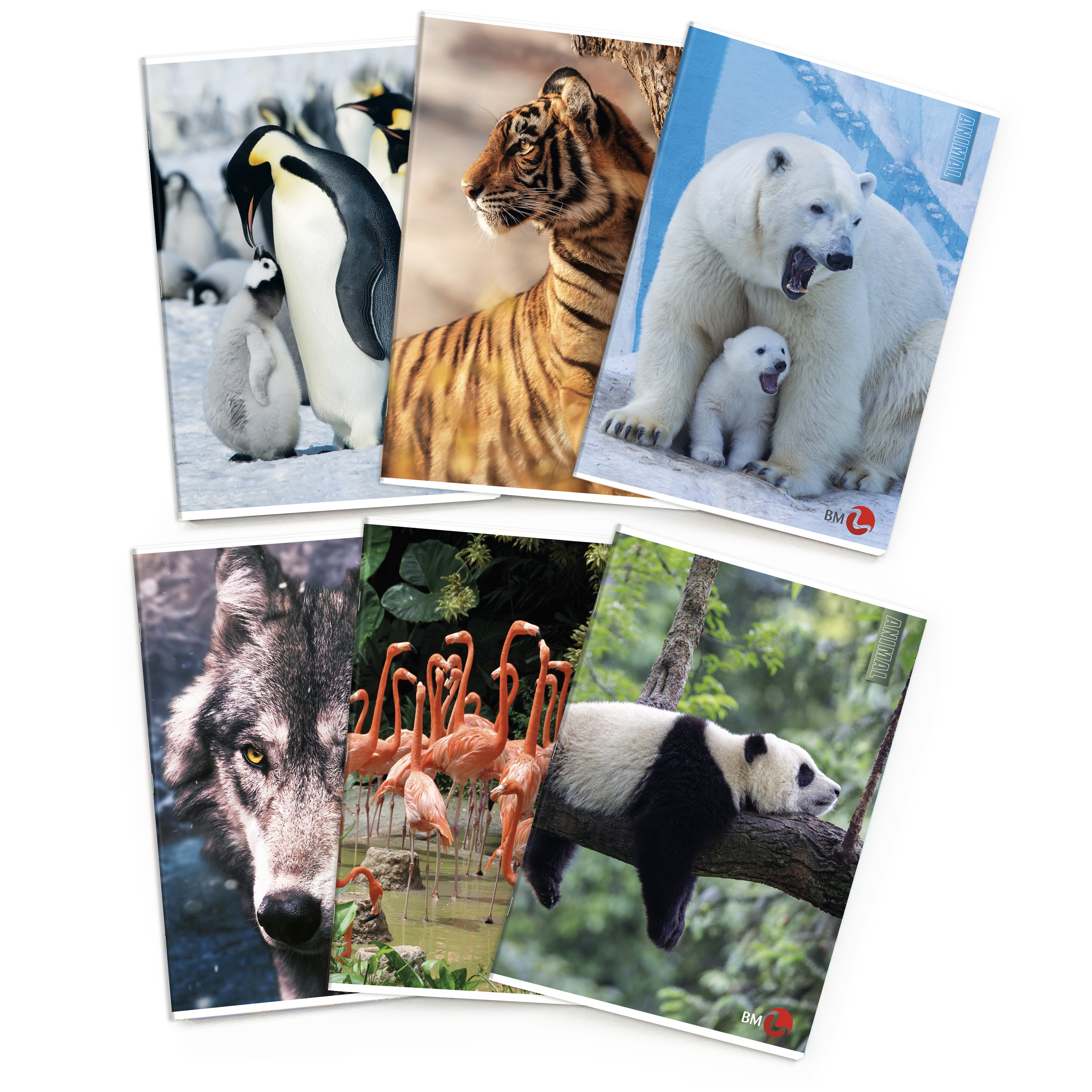 A4 maxi notebooks ANIMAL 80 gram - 10 assorted pieces