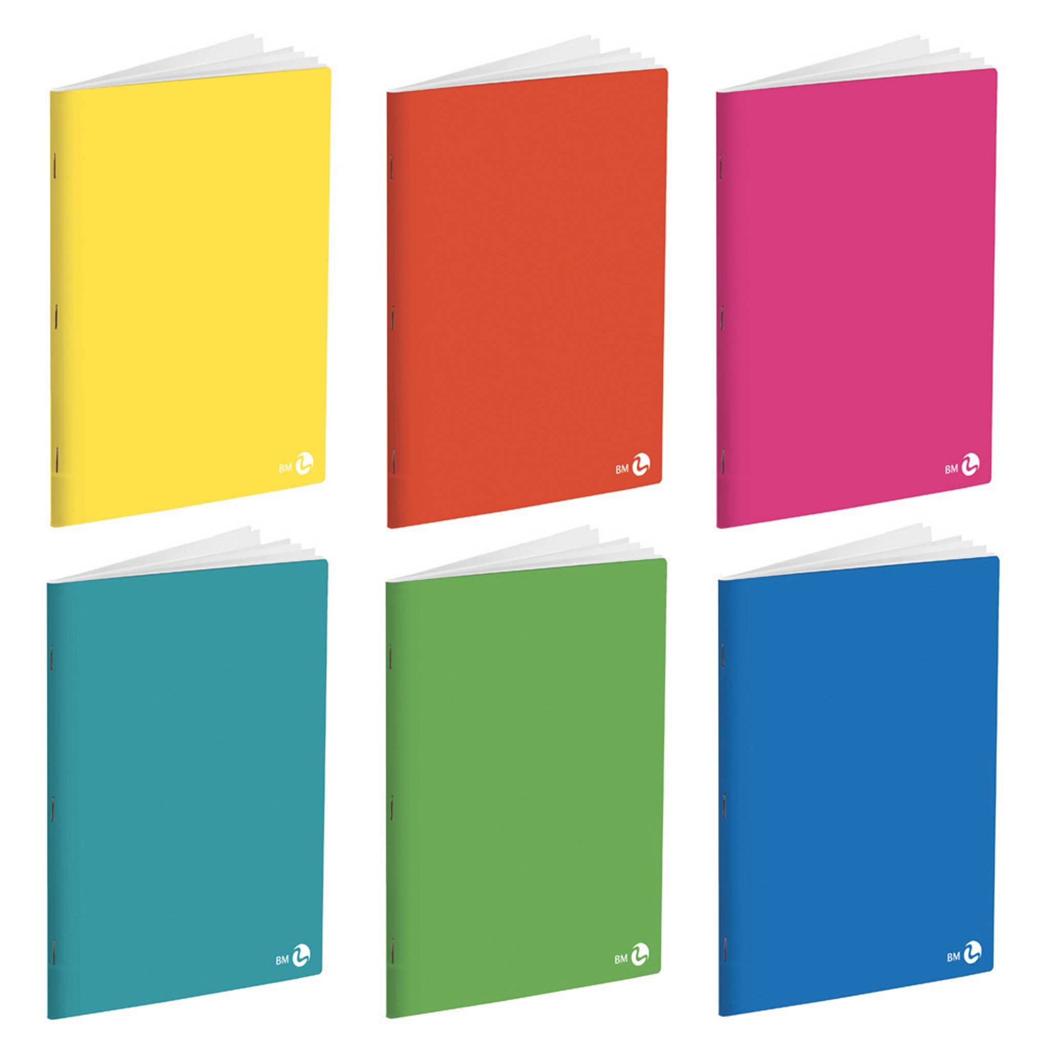 A4 maxi notebooks PPL - 10 assorted pieces